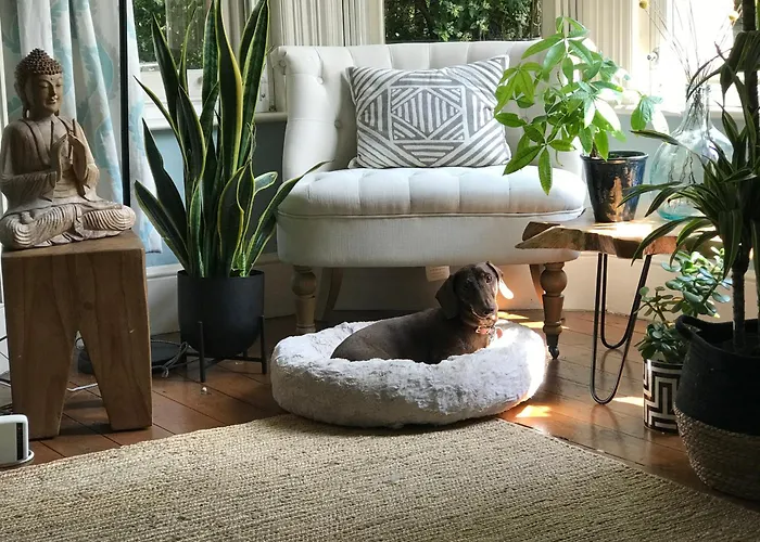 Dawn And Dudley The Sausage Dog\'S Parkside Home